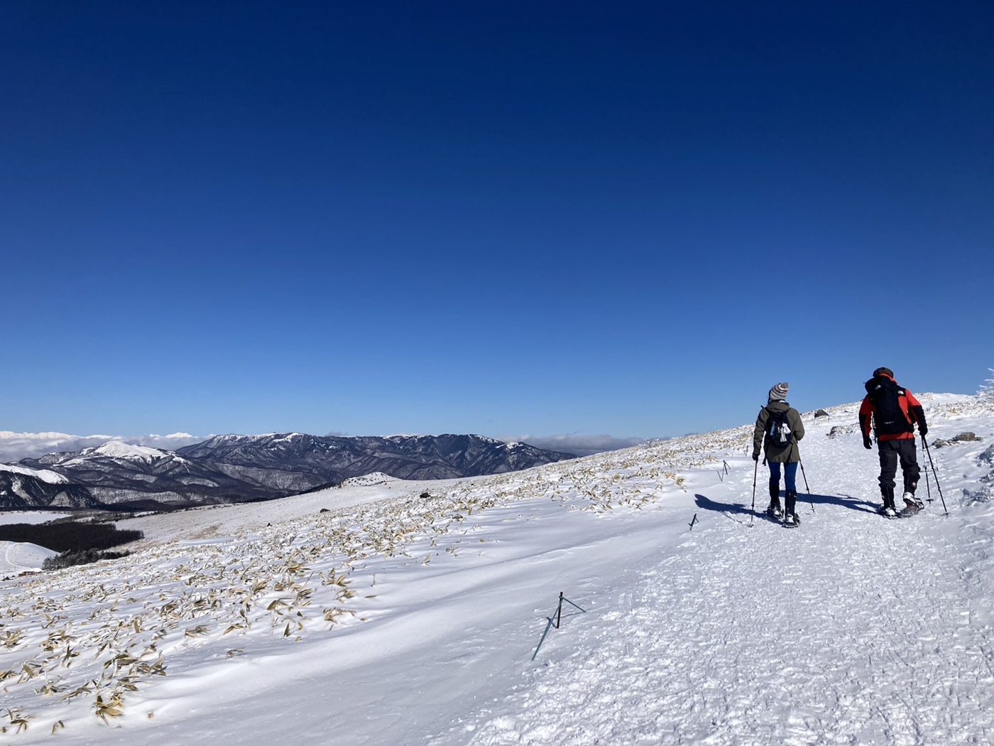 Two snowshoers walking across the snowy Kirigamine highlands under a deep blue sky