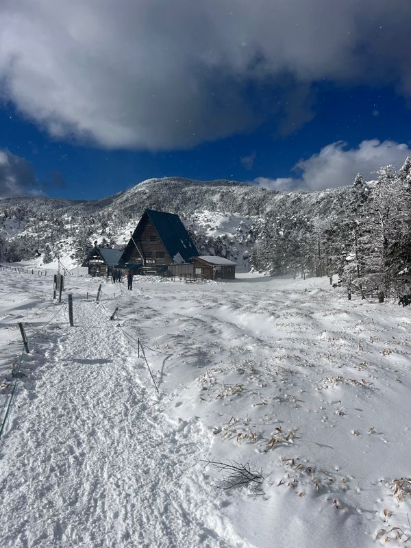 A snow-covered mountain lodge at the edge of a winter meadow